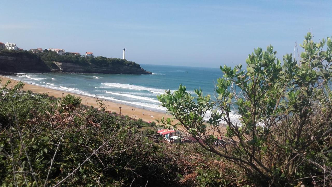 Anglet Face A L'Ocean 아파트 외부 사진